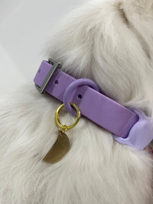 Top Tips for Keeping Dogs Safe with Collars - Woofworld Australia