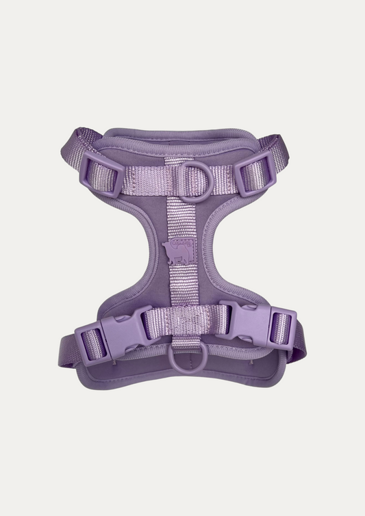 BEATA HARNESS - Woofworld Australia