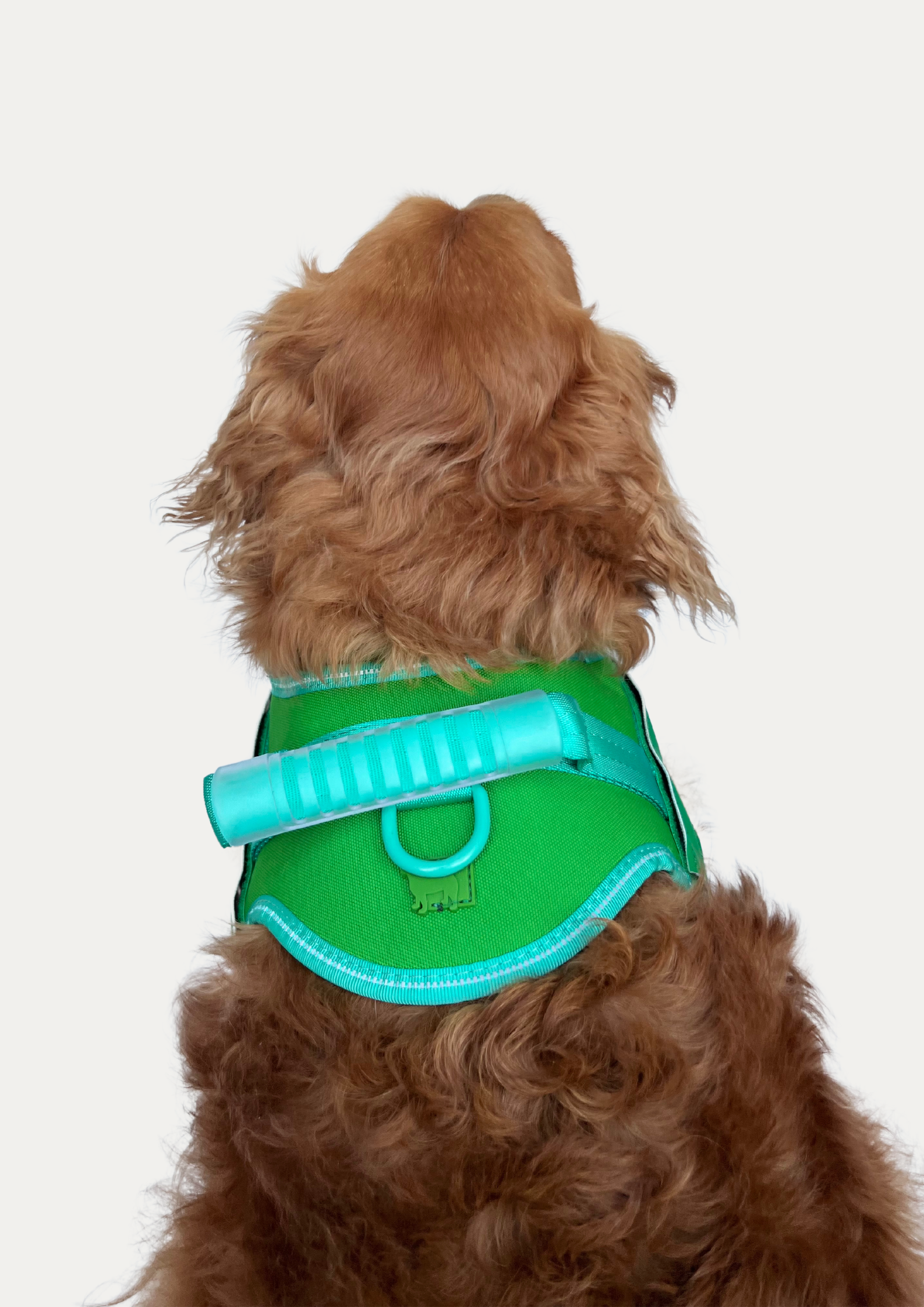 SNAP & GO HARNESS - Woofworld Australia